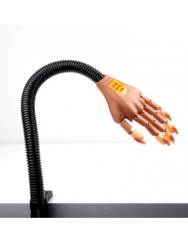 Picture of Training hand for Manicure